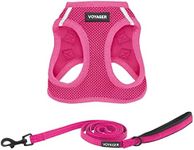 Voyager Step-in Air Cat Harness - A