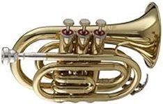 Stagg WS - TR245 Bb Pocket Trumpet 