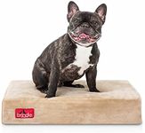 BRINDLE Waterproof Memory Foam Pet 