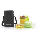 Tupperware Executive Lunch with Bag