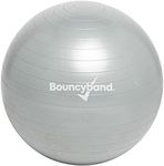 Weighted Ball Seat (Small, Silver)