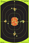 Splatterburst Targets - 12 x 18 inc