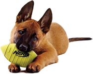 Nerf Dog Squeak Rubber Football Dog