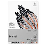 Winsor & Newton 6661546 Bristol Board Gummed, 20 Sheet, 250gsm, A3 Size, 20 Page, Brilliant Whites.