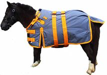 CHALLENGER 52" 1000D Miniature Weanling Donkey Pony Horse Foal Winter Blanket 51974OR