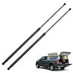 BDFHYK C16-22632 36inch 185lb (823N) Gas Shocks Struts Lift Support for Snowmobile Trailer, Heavy Sled Trailer Cap, Truck Cover, Tonneau Cover, Floor Hatch, Outdoor Well Pit，Basement Door, Set of 2