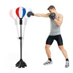 Everlast Punching Bag Stand Set