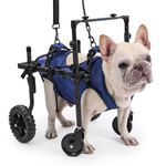 Duuclume 4-Wheel Dog Wheelchair for Disabled & Elderly Dogs,Adjustable Pet Mobility Aids with Handle,Wheelchair Cart for Back/Front Legs Rehabilitation (S)