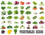 45 Vegetable Seed Variety Pack for All Seasons - Premium Non-GMO Heirloom Seeds - Perfect for Home Gardening and Indoor/Outdoor Planting - Grow Fresh Vegetables Year-Round