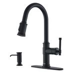 Kitchen Faucet With Sprayer Vintages