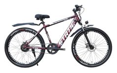 Neelam E Static Unisex Electric Bicycle 26T High Tensile Steel Frame|Disk Brake|INBUILT Battery 36V-250W|7.8AH|Supension Fork|Battery Indication Display| 30km Range Color- RB RED