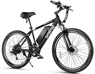 Oraimo Electric Bike for Adults,350