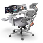 Drogo Ergonomic Office Chair for Work from Home with Adaptive Lumbar Support, 4D Armrest, Tray, Recline, Footrest, Adjustable Height & Headrest, High Back Computer Chair Office/Home (Grey)