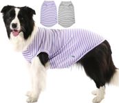 Sychien Dog Cooling Shirt,Summer Co