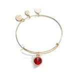 Alex and Ani Birthstones Expandable