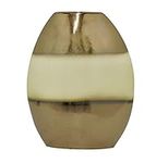 Benzara 48851 12" Ceramic Vase
