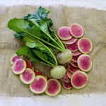 Radish Watermelon 50 Seeds Vegetable Garden All Season Winter Hardy Veg