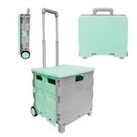 Berry 40L Foldable Shopping Trolley, Plastic Trolley Cart with 2 Wheels and Lid, Portable Cart with Telescopic Handle, Multipurpose Utility Cart for Shopping, Teacher - Mint Green and Grey