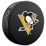 Pittsburgh Penguins Officially Lice