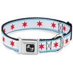 Buckle Down Seatbelt Buckle Dog Collar - Chicago Flag - 1" Wide - Fits 15-26" Neck - Large