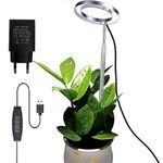 GIGAWATTS Ring Plant Light with Full Spectrum 100-240V~50/60Hz AC Input 10 Levels Dimmable & 3 Modes 120° Lightning Angle USB Powered IP44 Indoor Lamp for Home Garden Balcony (Pack of 1, RGB)