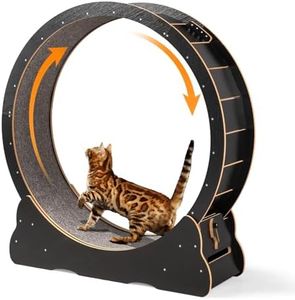 VINGLI Cat
