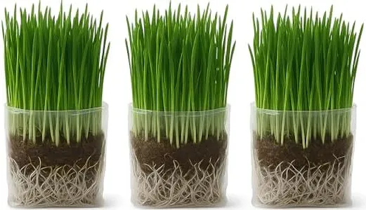 The Cat Ladies Cat Grass Grow Bag Kit, Organic Cat Grass for Indoor Cats, Seeds, 3 Pack Soil, Seeds & Grow Bags