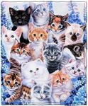Dawhud Direct Collage Kitten Fleece
