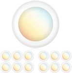 PARMIDA (12 Pack) 5/6 Inch Dimmable