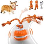 Salodal Peppy Pet Ball for Dogs, Do