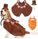 SCENEREAL Fall Dog Bandana Cloak and Hat Set,Thanksgiving Turkey Costume Clothes with Pumpkin Maple Leaf Pattern, Funny Puppy Holiday Costumes Outfits for Small Medium Dogs Boys Girls Cats