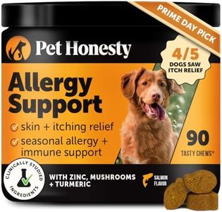 Dog Allerg