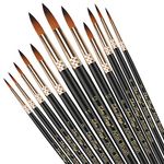 Paint Brushes 12 Pieces Set,Professional Paint Brush Round Pointed Tip Nylon Hair Artist Acrylic Brush for Acrylic Watercolor Oil Painting Body Paint (Black)