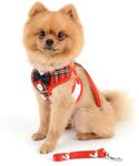 Pets Empire Dog Tuxedo Outfit Dog Harness with Leash Adjustable Dog Harness Dog Suit with Bowtie (Red) (Large (Fit Weight 5-9 kg))