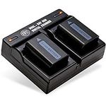 BM Premium 2 Batteries and Dual Bay