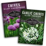 Chive Seed Collection - Common Chives & Garlic Chives - 2 Packets of Non-GMO Heirloom Open-Pollinated Herb Varieties to Plant Your Vegetable Garden - Seed Saver Instructions - Survival Garden Seeds