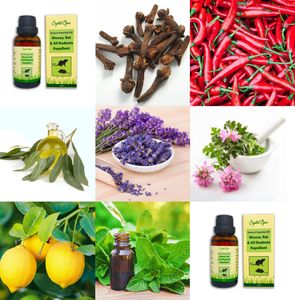 Peppermint Rodent Repellent Spray – Natural Pest Control Solution
