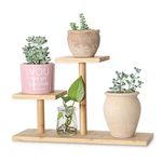 QUMENEY Bamboo Plant Stand Indoor, Mini 3-Tier Mini Tabletop Wood Succulent Plant Stand, Desk Organizer Display Rack for Outdoor Desk Garden Balcony Patio