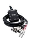 Hosa SH-6X2-20 Little Bro Sub Snake - 20 ft - 6 XLR Sends x 2 1/4" TRS Returns