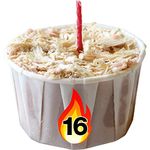 Qwick Wick Fire Starters - 65 Pack with Storage Bucket - Great for Fireplace, Wood Stoves, Camp Fires