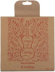 Kadence STR-V01 Jamming Series Violin Strings Set | Steel Core Violin Strings for 4/4 Full Size Violin | Bright Balanced Tone with Smooth Response | Complete Replacement String Set | Silver