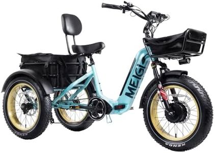 DWMEIGI 20" Fat Tire Electric Trikes With Reverse Gear