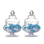Livejun Glass Apothecary Jars Clear