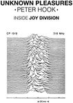 Unknown Pleasures: Inside Joy Division