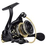 KastKing Valiant Eagle Spinning Reels, Black Gold Fishing Reel, Size 2000