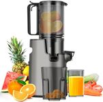 LQZ Cold Press Juicer,Slow Masticating Juicer Machines,350W Juice Extractor Machine,5.3" Large Bore Feed Chute Fit Whole Vegetables and Fruits,Easy to Clean Juicer(Black)