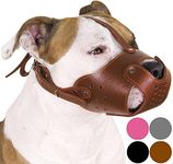 CollarDirect Dog Muzzle Pitbull Amstaff Basket Genuine Leather Staffordshire Terrier (Chocolate Brown)