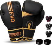 EVO Fitness Matte Black Boxing Glov