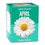 Gift Republic GR130046 April Birth Flowers