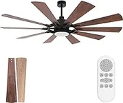 hykolity Ceiling Fan with Light and